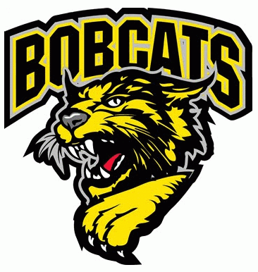 bismarck bobcats 2004-2006 primary logo iron on transfers for clothing